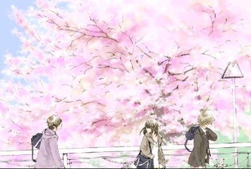 蘑菇网页版视频电脑版